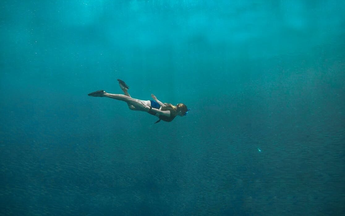 Diver