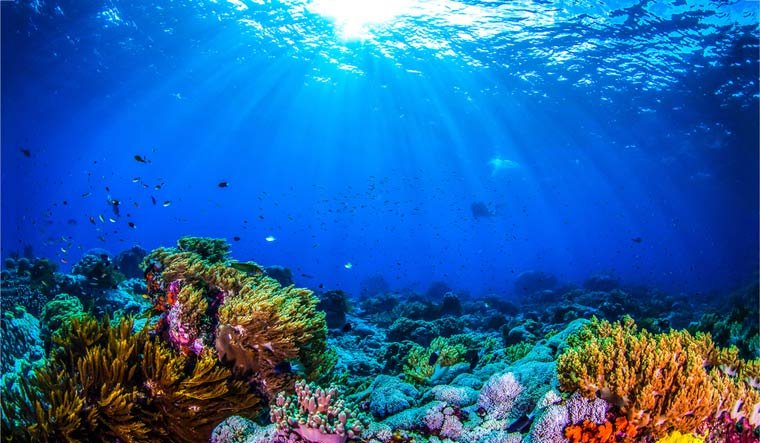 sea-Underwater-world-panorama-Coral-reef-ocean-light-under-water-shut