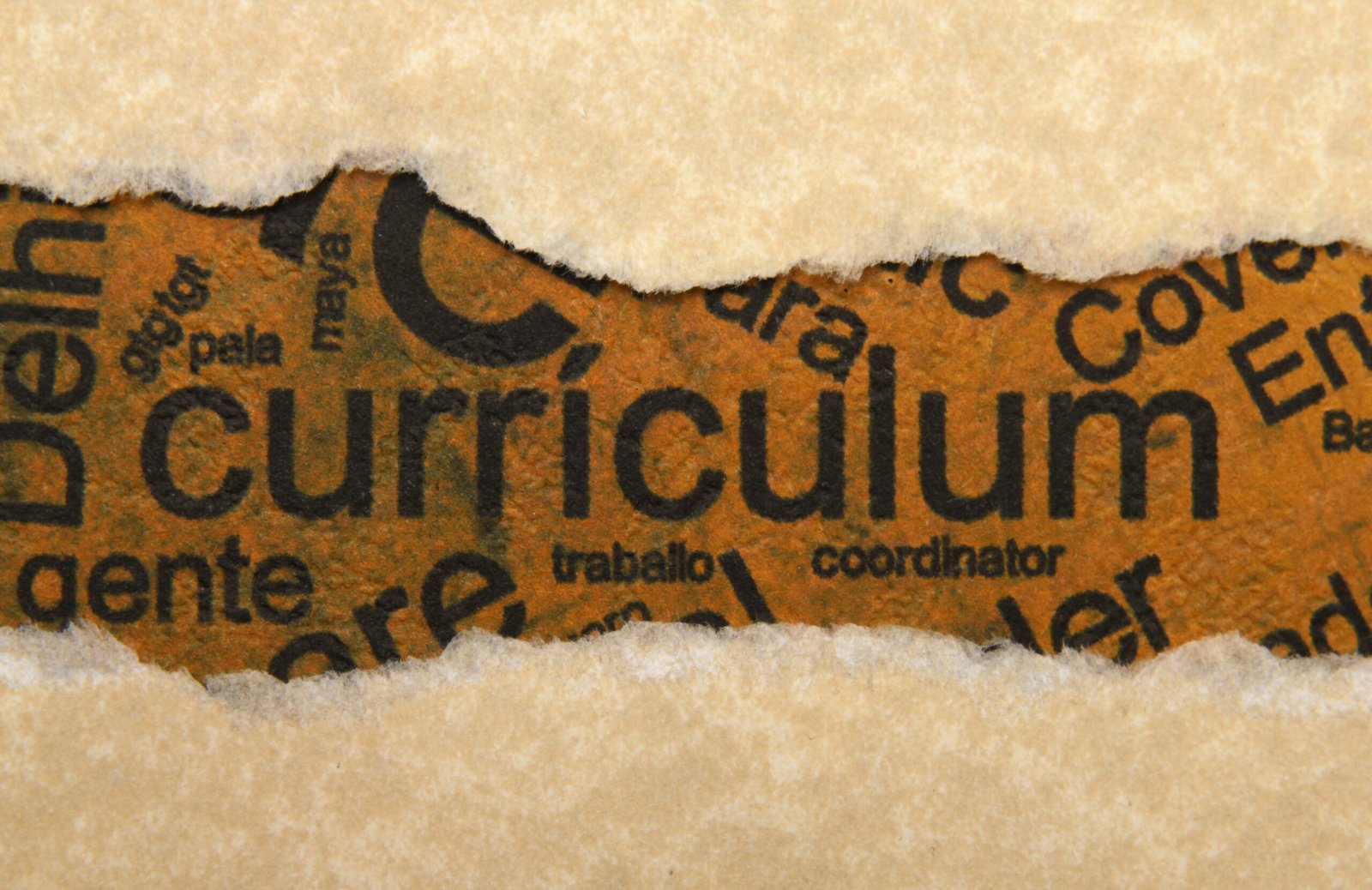 curriculum