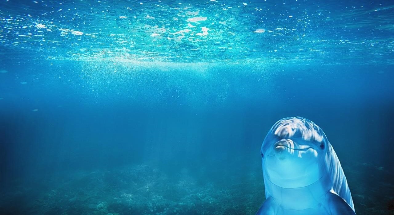 ocean
