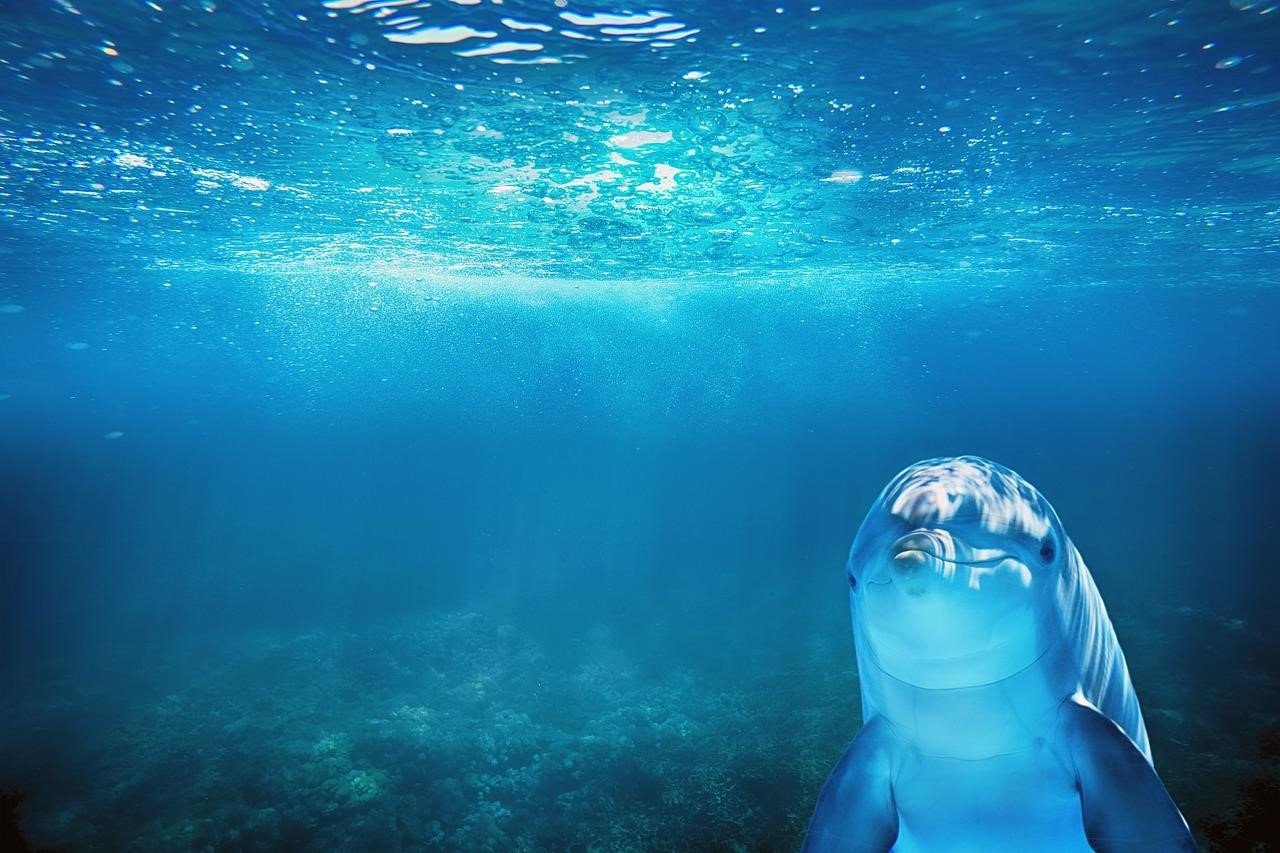 ocean