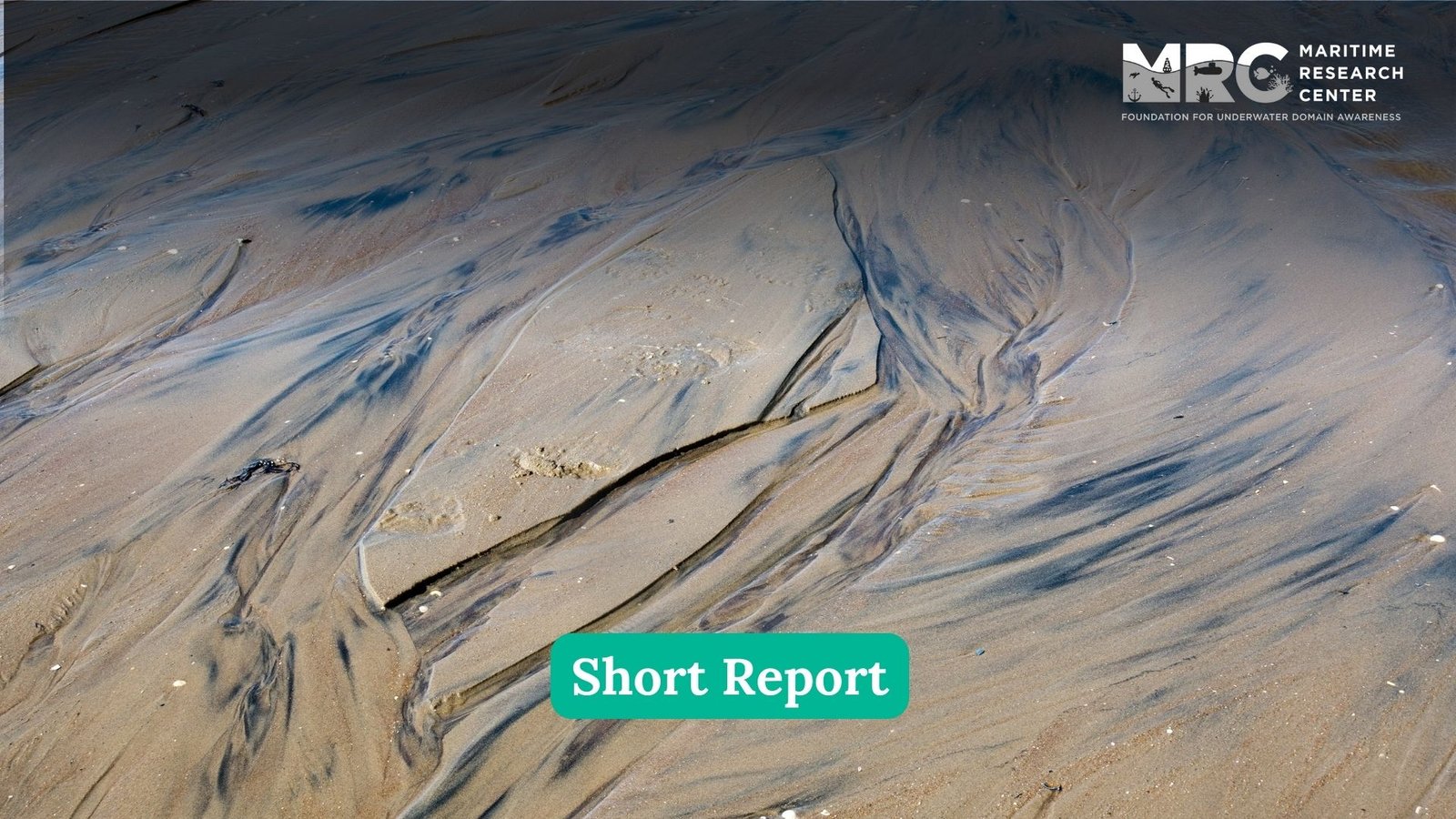 shortreport