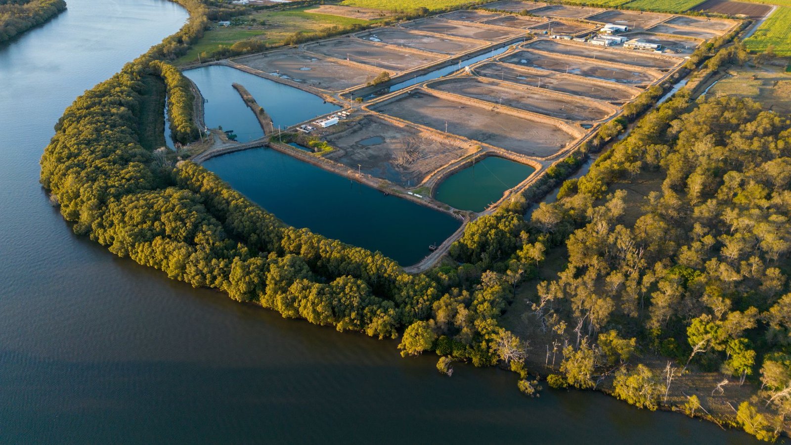 Aquaculture