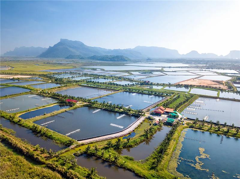 What Is Aquaculture, And Why Do We Need It_